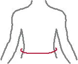 Alasuoja - Mueller - Alasuoja m/flexcup - Aikuiset - Valkoinen