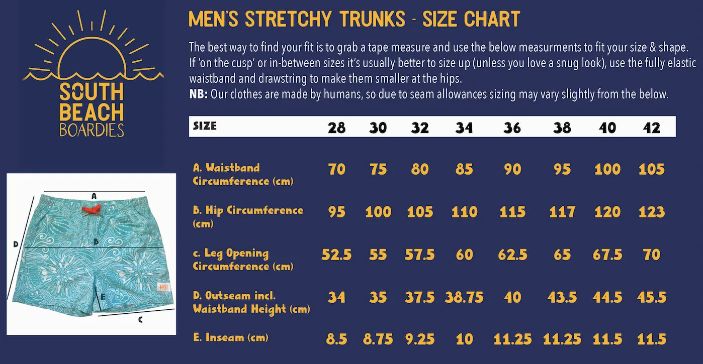 Men's Stretchy Trunks: Dinotopia
