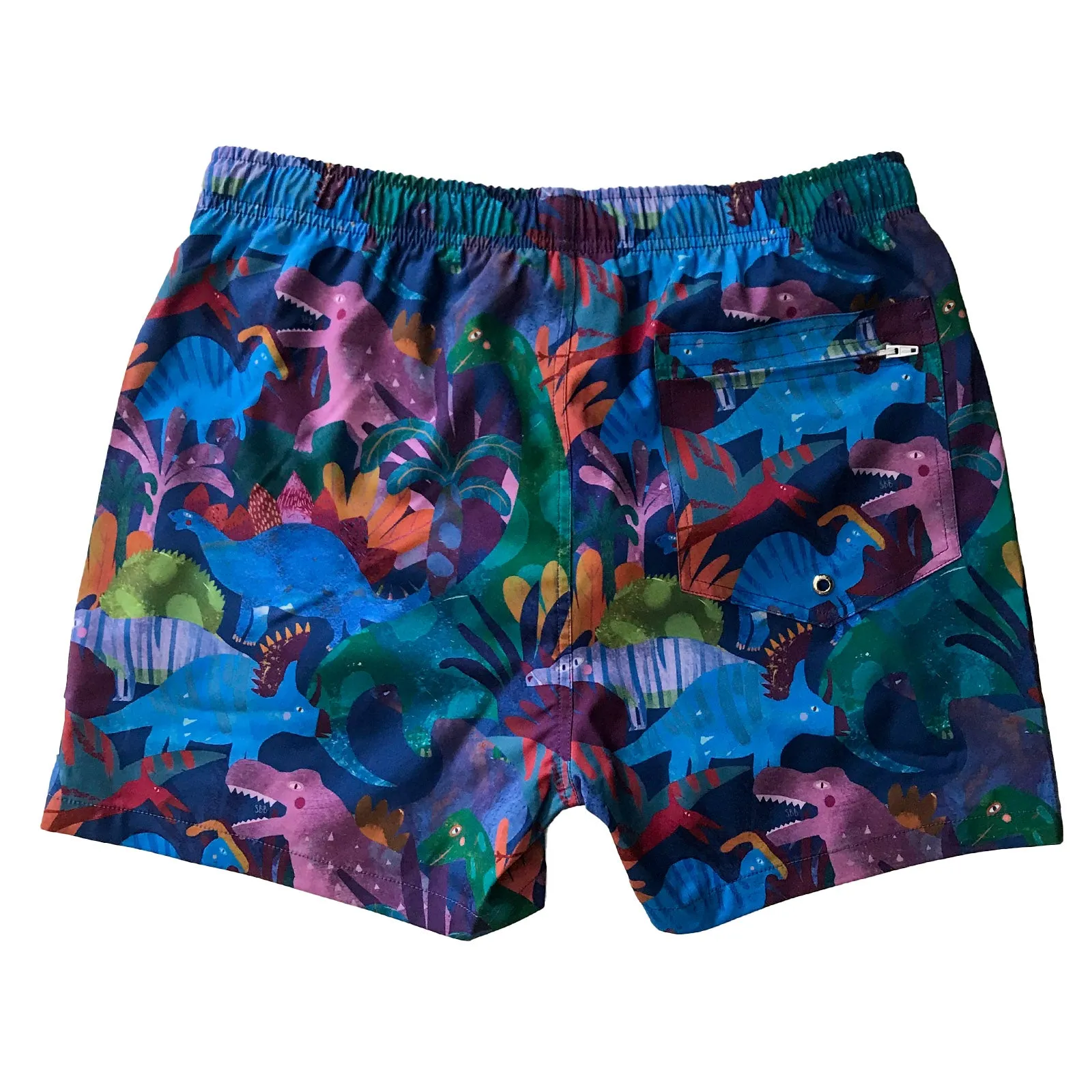 Men's Stretchy Trunks: Dinotopia
